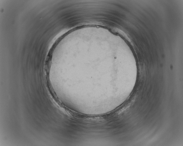 X0000067521133200605051848