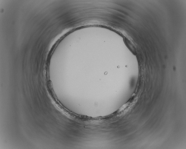 X0000067521134200605051848