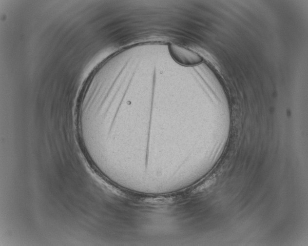 X0000067521135200605051848