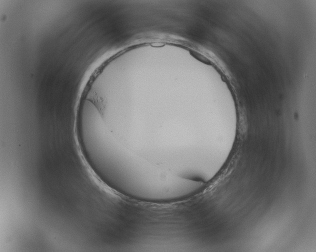 X0000067521136200605051848