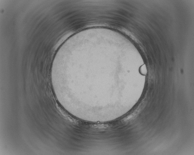 X0000067521137200605051848