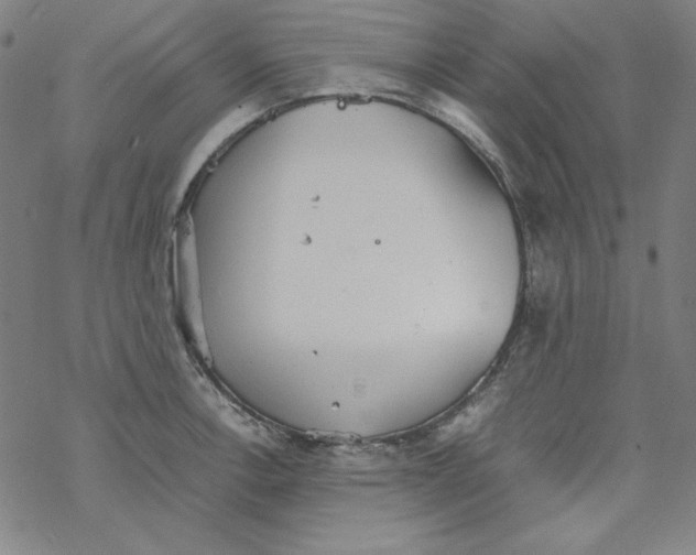 X0000067521138200605051848