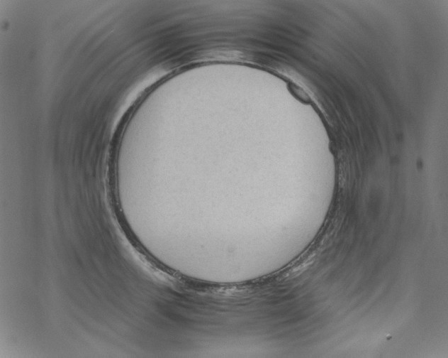 X0000067521139200605051848