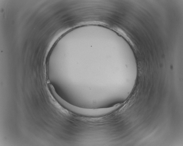 X0000067521140200605051848