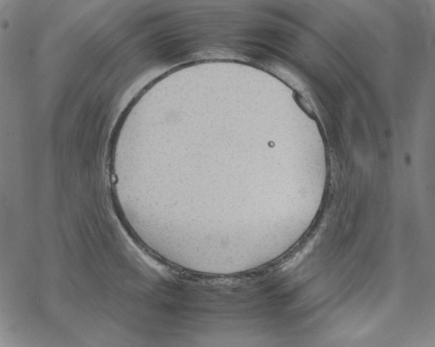 X0000067521141200605051848