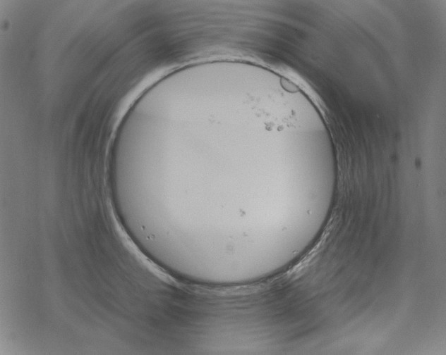 X0000067521142200605051848