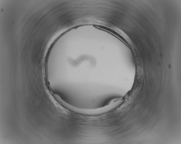 X0000067521144200605051848