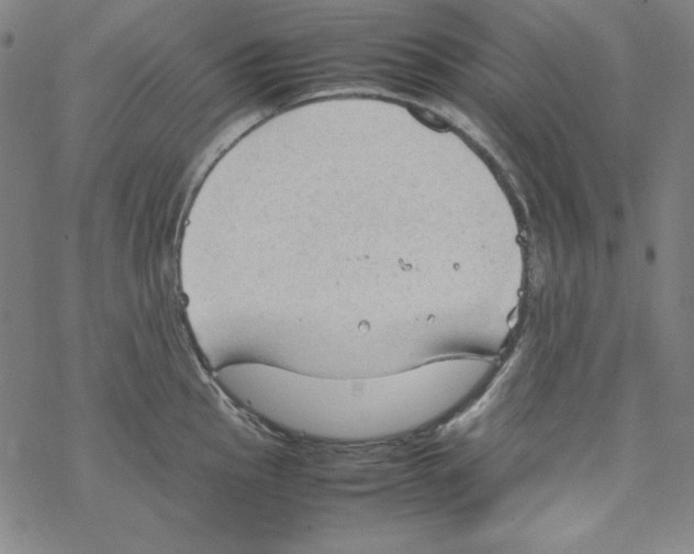 X0000067521145200605051848