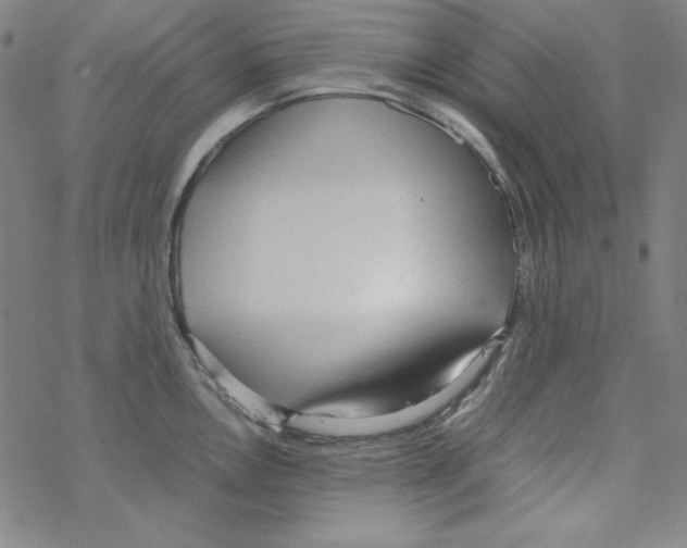 X0000067521146200605051848