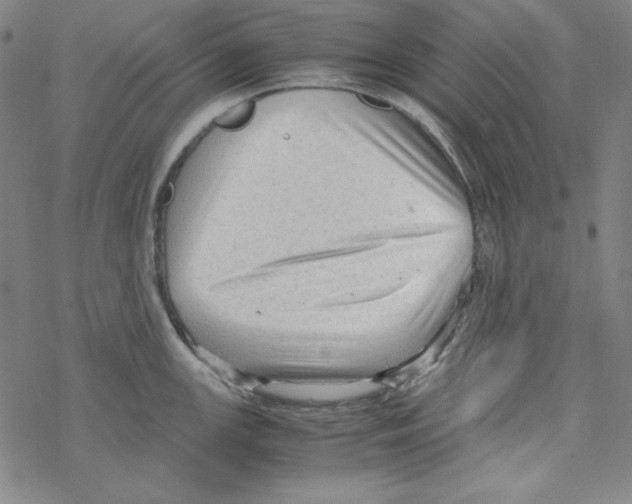 X0000067521147200605051848