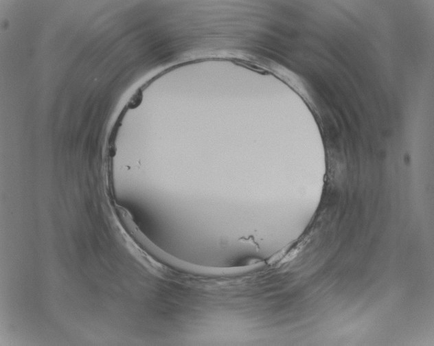 X0000067521148200605051848