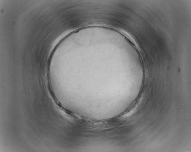 X0000067521149200605051848