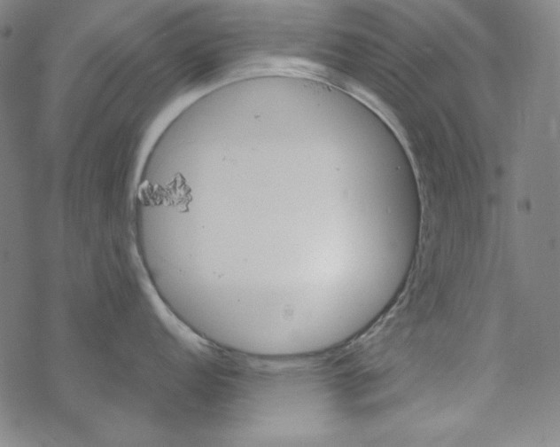 X0000067521152200605051848