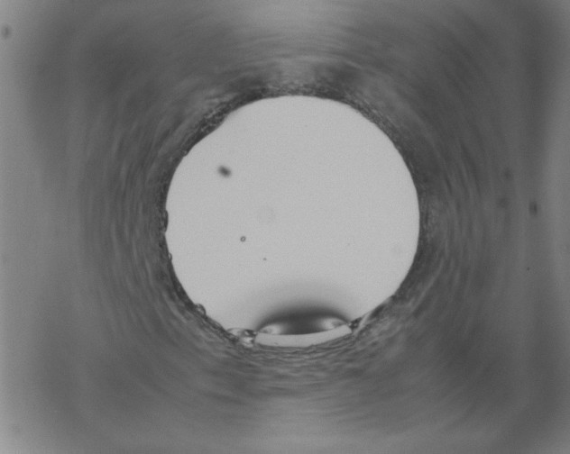 X0000067521153200605051847