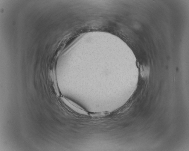 X0000067521155200605051847