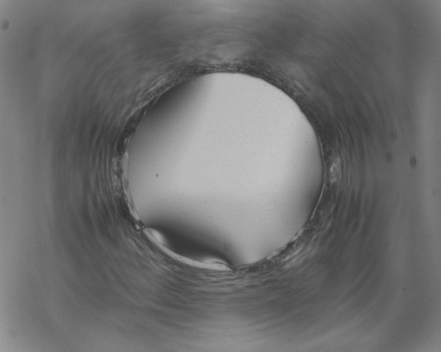 X0000067521156200605051847