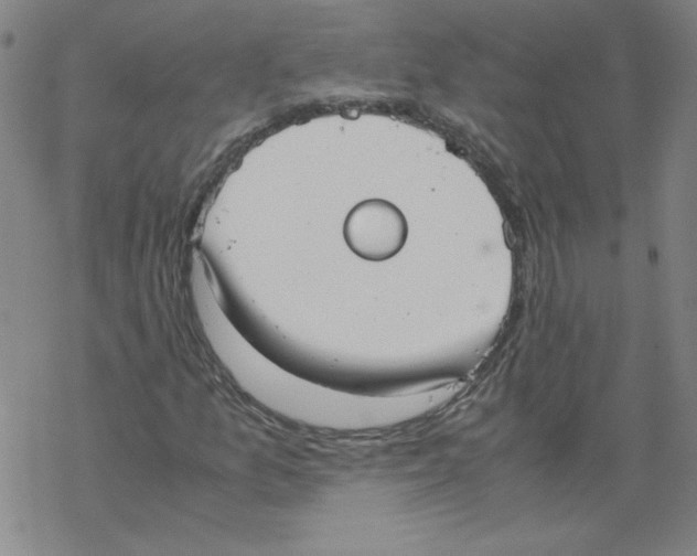 X0000067521157200605051847