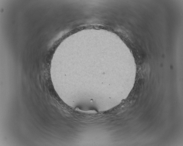 X0000067521159200605051847