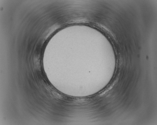 X0000067521162200605051847