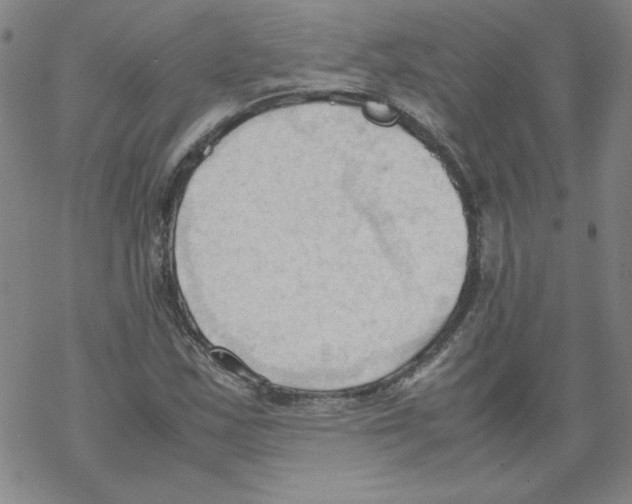 X0000067521163200605051847