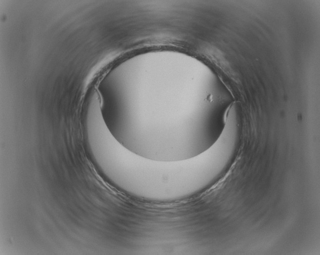 X0000067521164200605051847