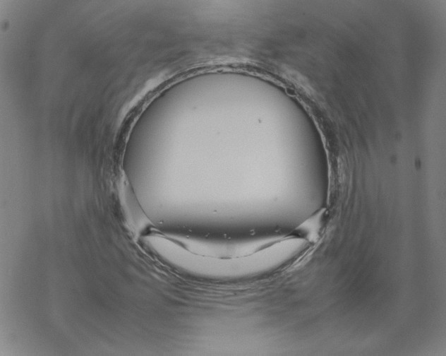 X0000067521165200605051847