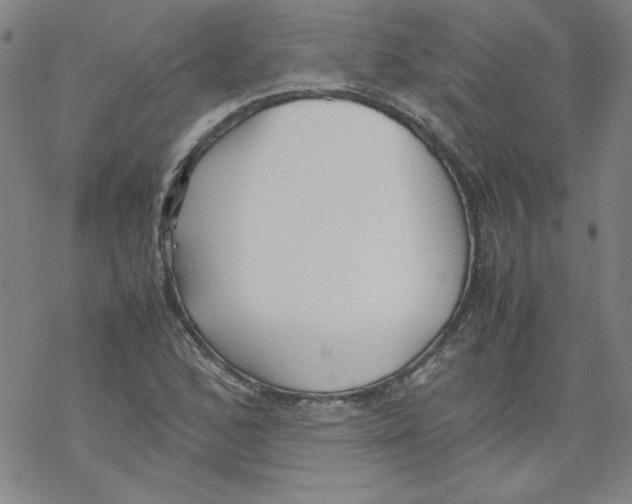 X0000067521168200605051847