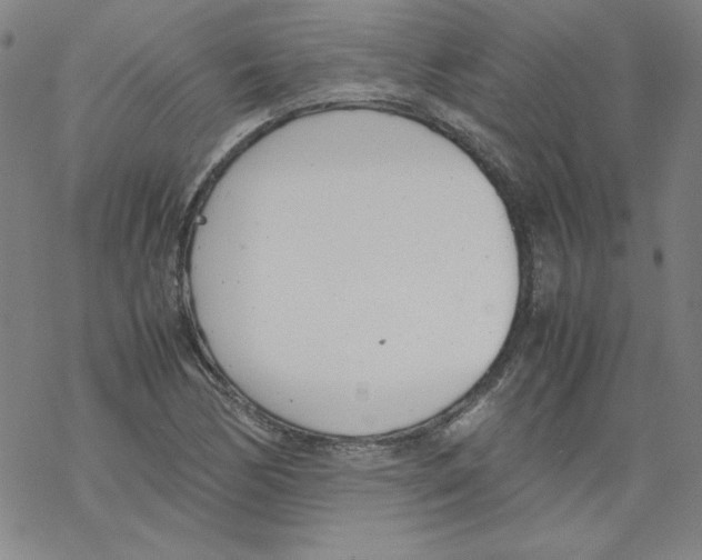 X0000067521170200605051847