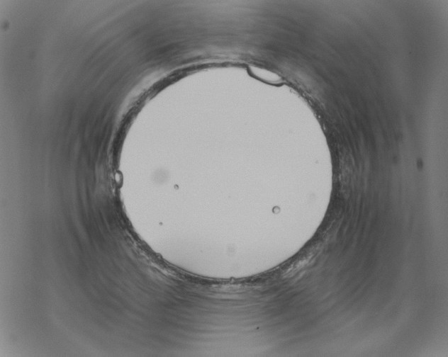 X0000067521172200605051847