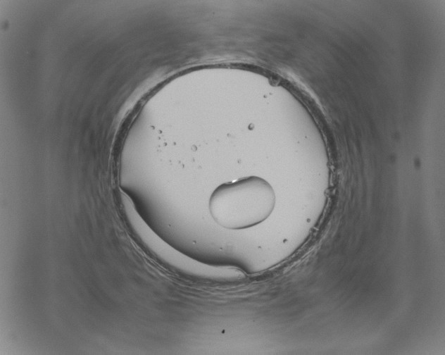 X0000067521173200605051847