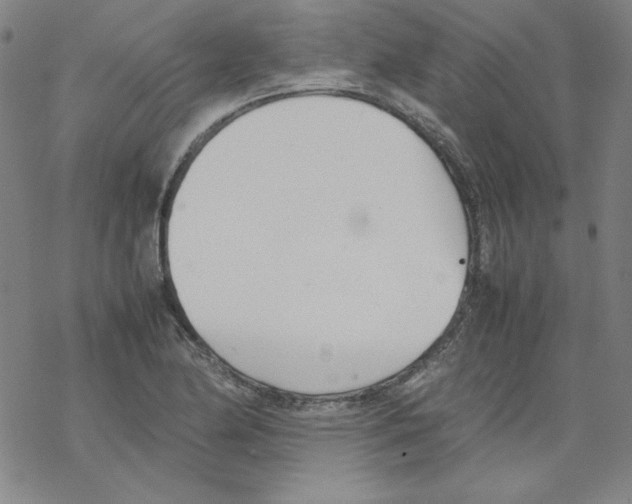 X0000067521174200605051847