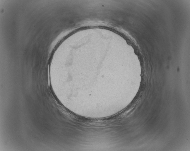 X0000067521175200605051847