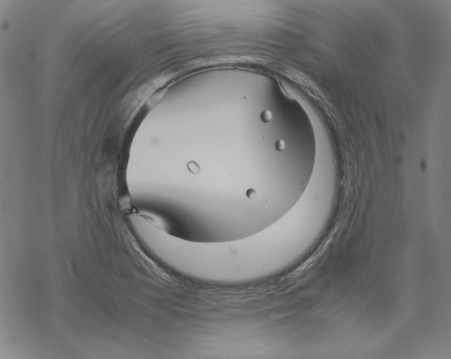 X0000067521177200605051847