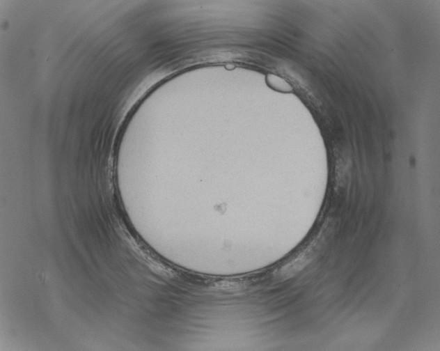 X0000067521178200605051847