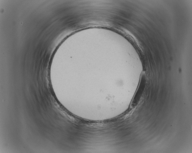 X0000067521182200605051847