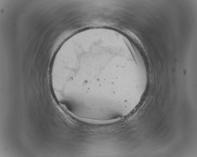 X0000067521183200605051847