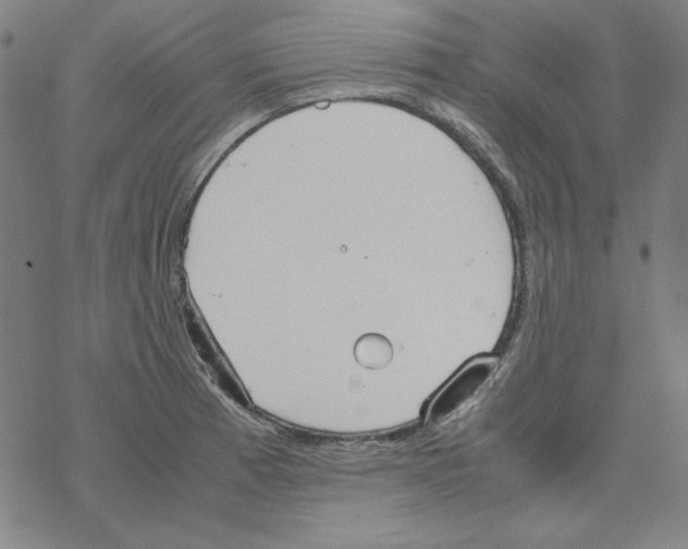 X0000067521185200605051847