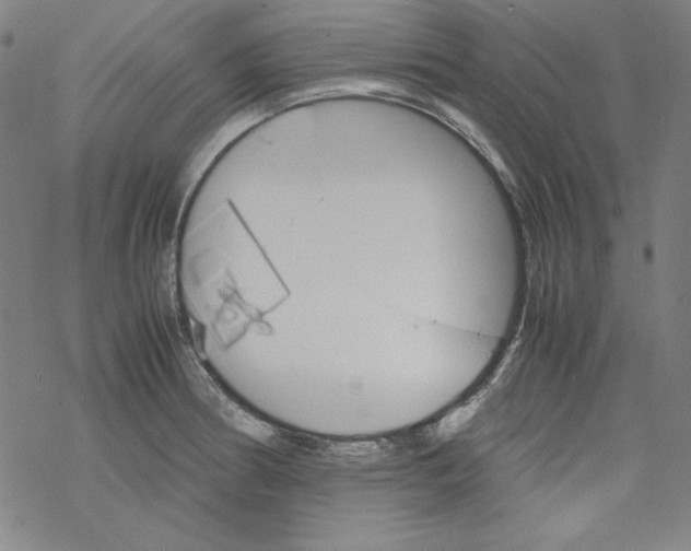 X0000067521186200605051847