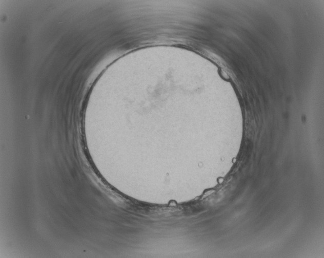 X0000067521187200605051847