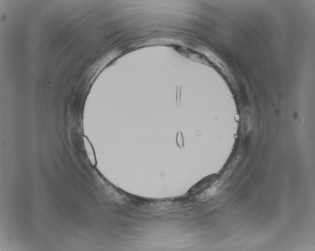 X0000067521193200605051846