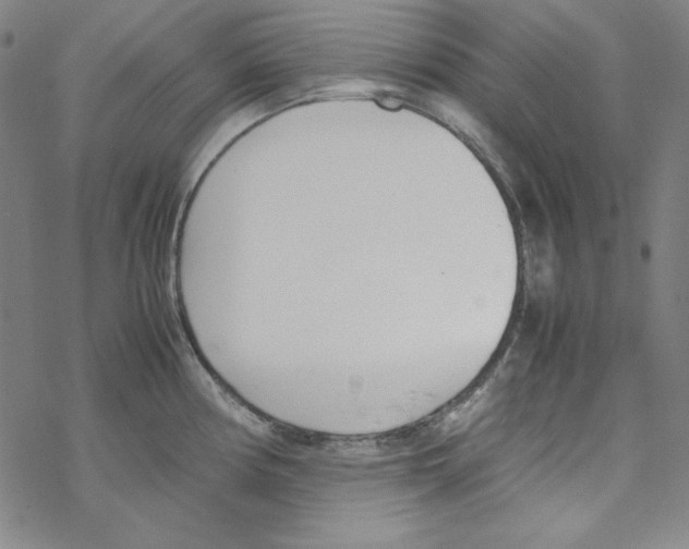 X0000067521194200605051846