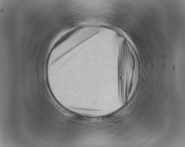 X0000067521195200605051846