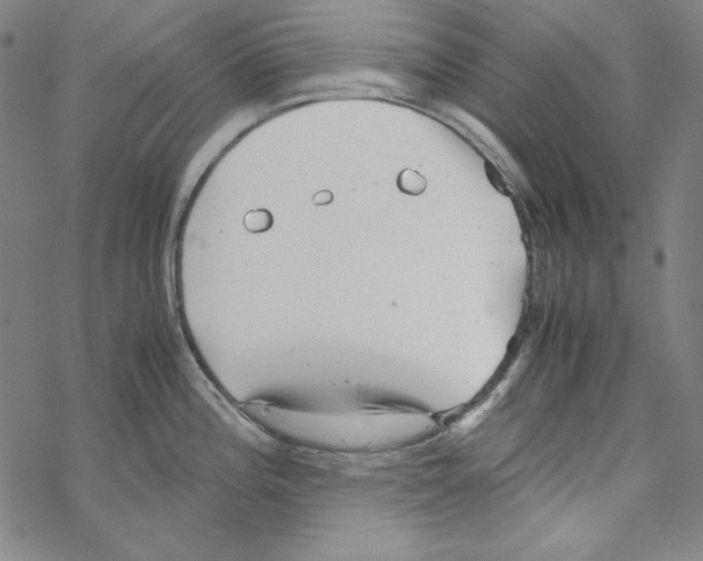 X0000067521196200605051846