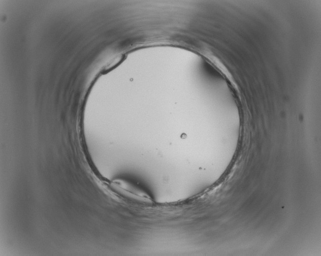 X0000067521197200605051846