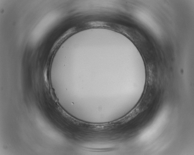 X0000067521198200605051846