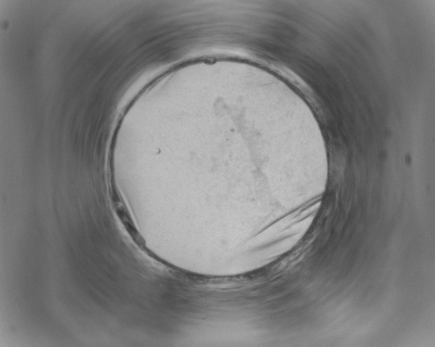 X0000067521199200605051846