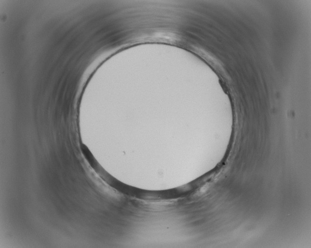 X0000067521200200605051846