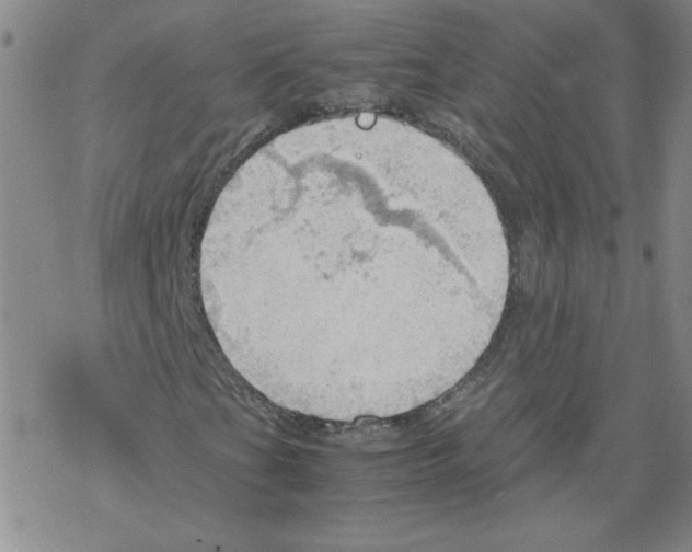 X0000067521201200605051846