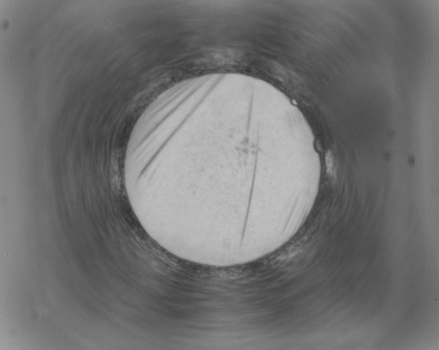 X0000067521203200605051846