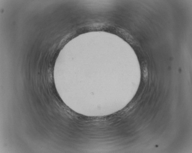 X0000067521204200605051846